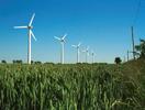 [Somerton Wind Farm]