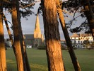 [Sunset through the trees at Silloth]