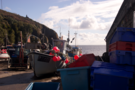 cadgwith.png